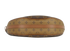 Loop Hobo, top view